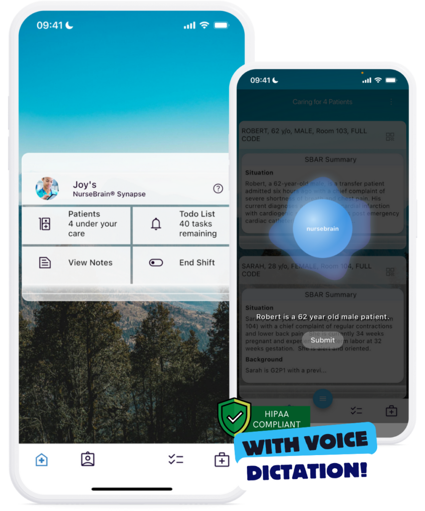 voice dictation